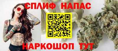 дмт Бийск