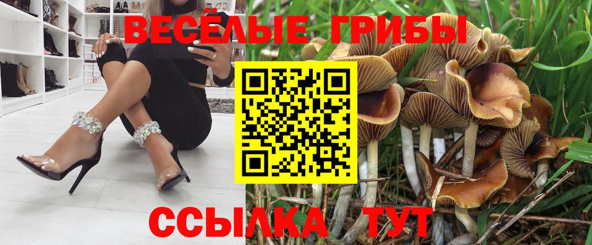 Псилоцибиновые грибы мицелий Беслан