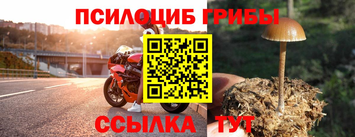 Псилоцибиновые грибы прущие грибы  Вход с VPN  Беслан 